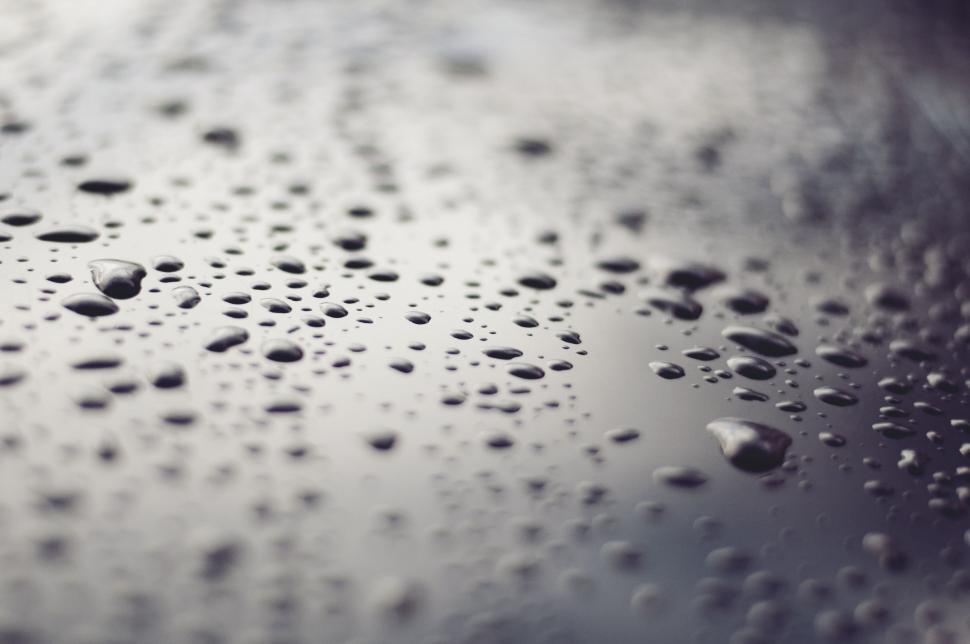 Free Image of Water Droplets in Black and White 