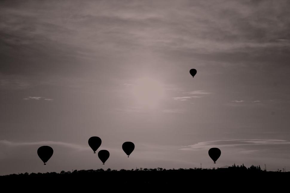 Free Image of Group of Hot Air Balloons Flying in the Sky 