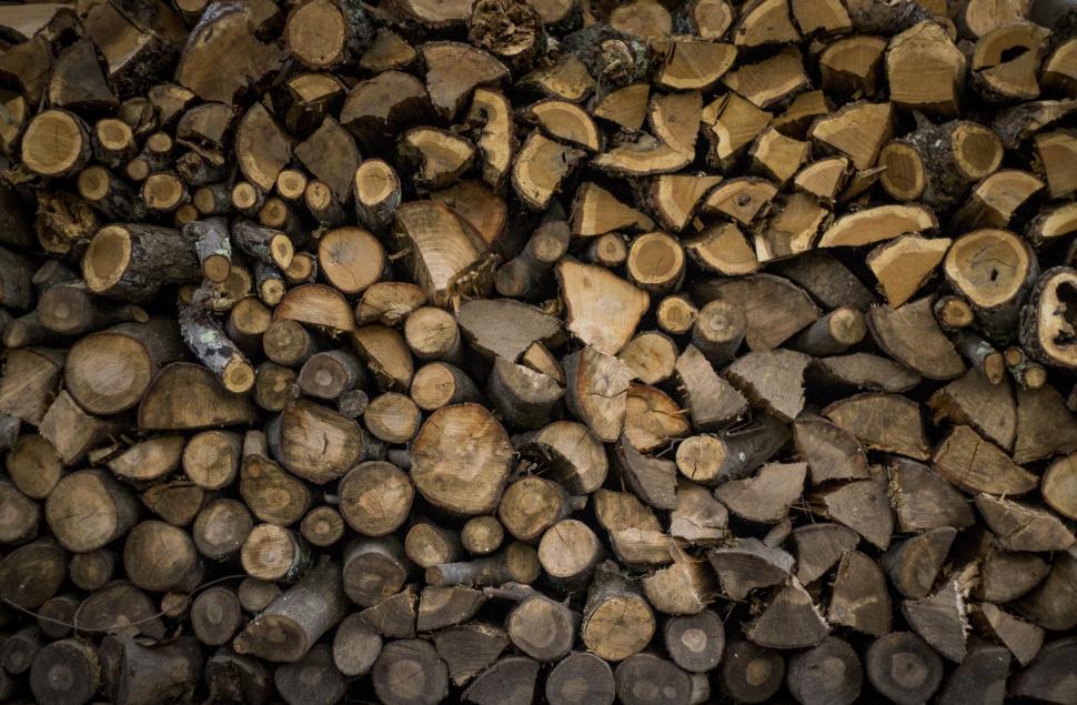 Free Image of Stack of Logs in a Pile 