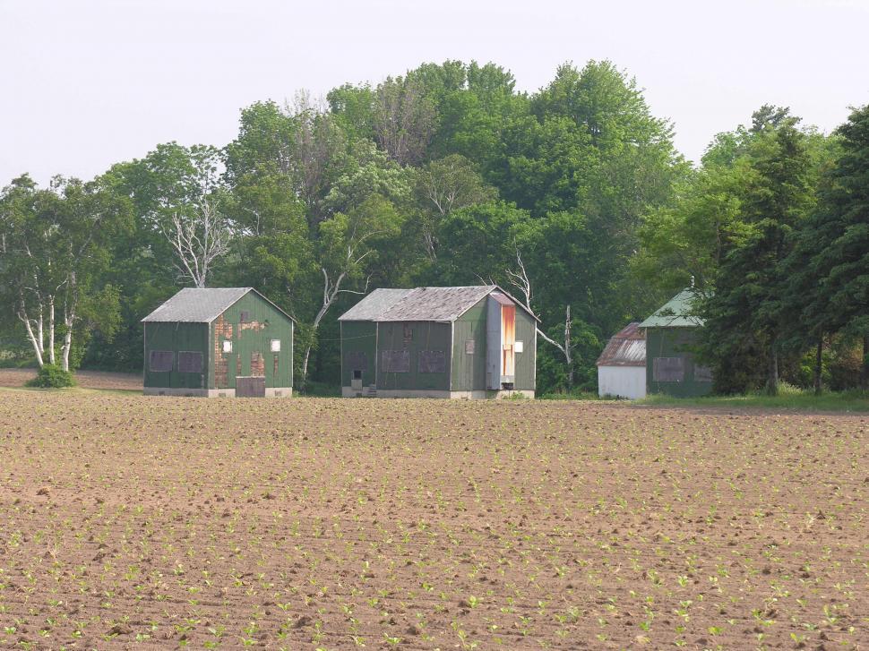 Free Image of Old Barns in the field 