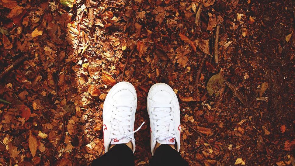 Free Image of Person Wearing White Sneakers Standing on Leaf Covered Ground 