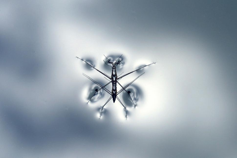 Free Image of Clock Floating in the Sky 