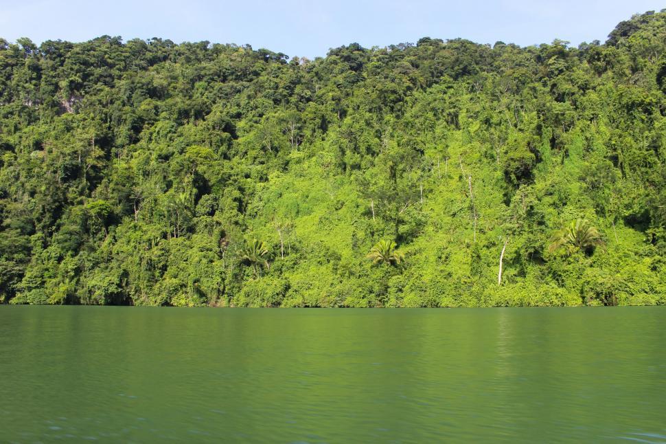 Free Image of Water Body With Trees 