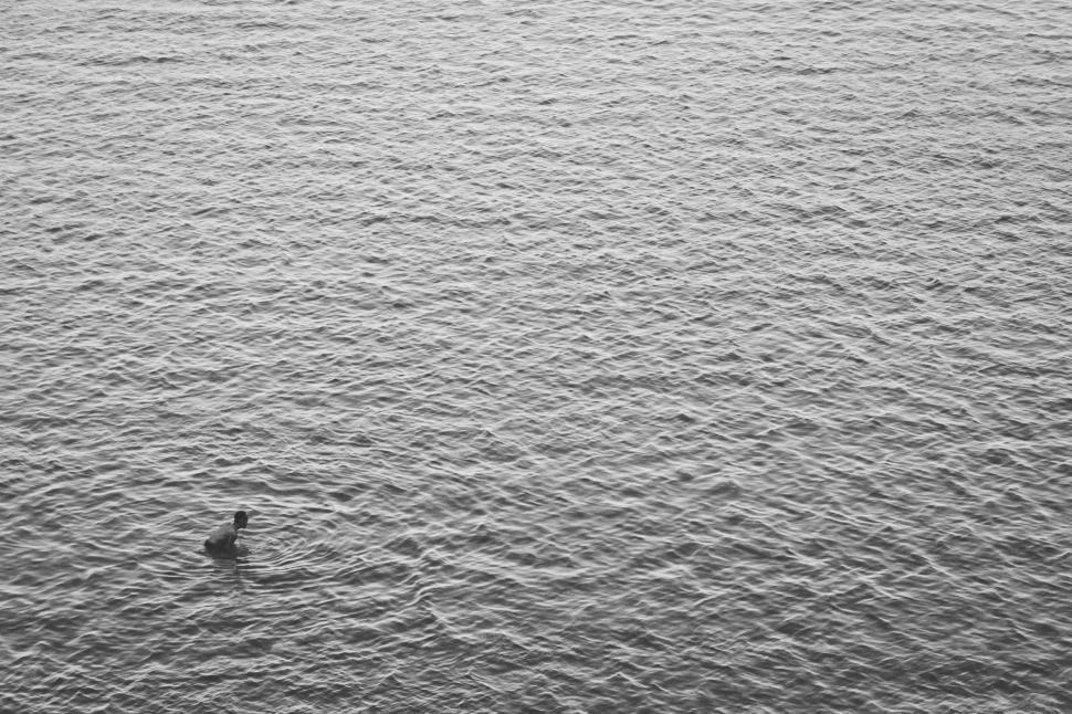 Free Image of Person Swimming in the Ocean 