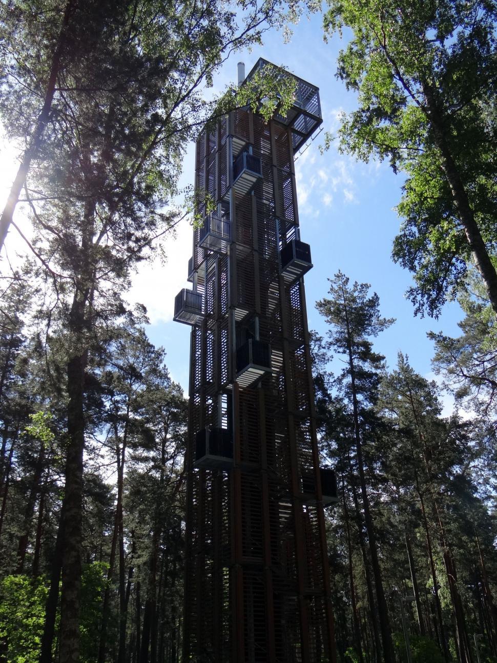Free Image of Tower Rising Above Forest Canopy 