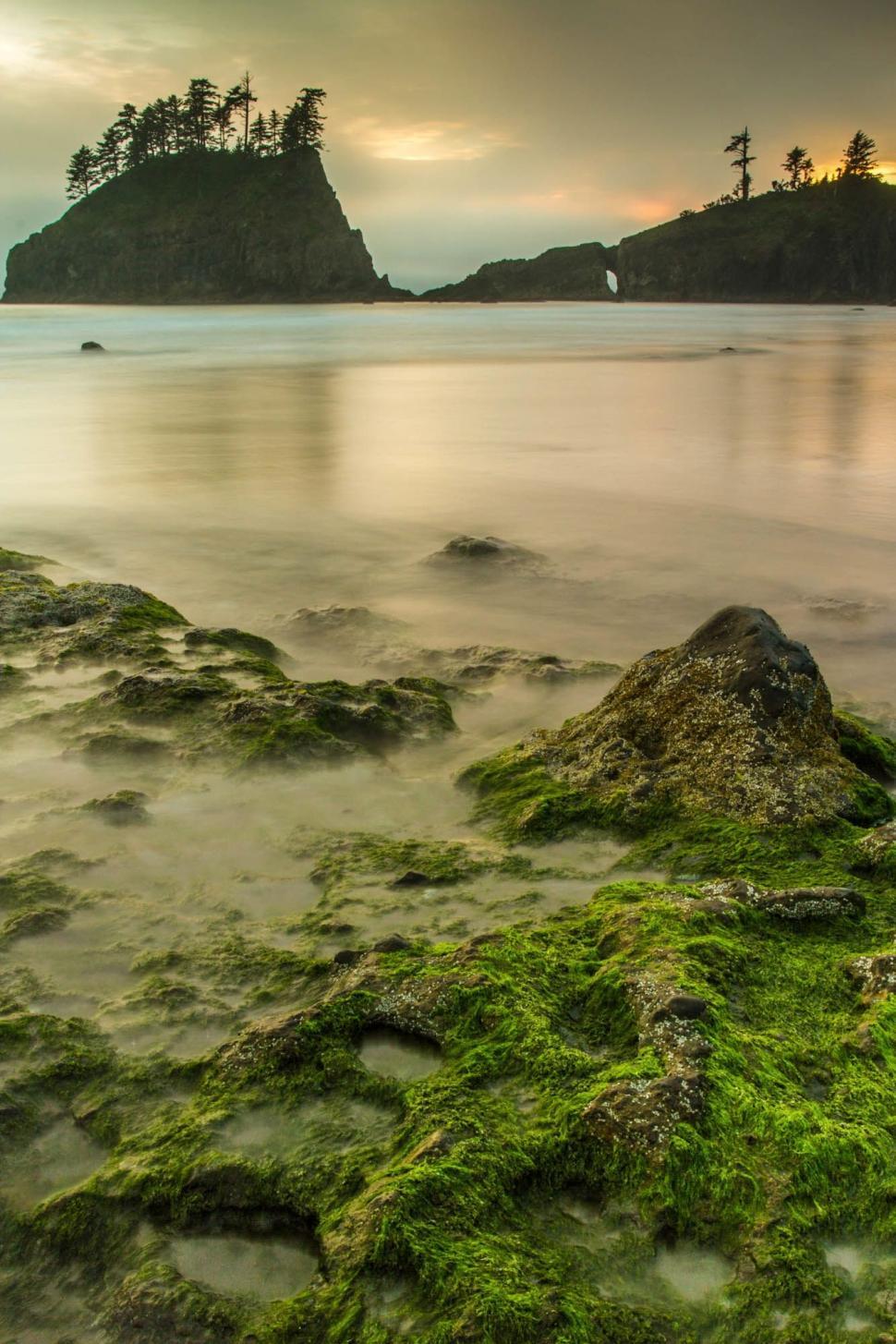 Free Image of Algae-Covered Beach Under Cloudy Sky 