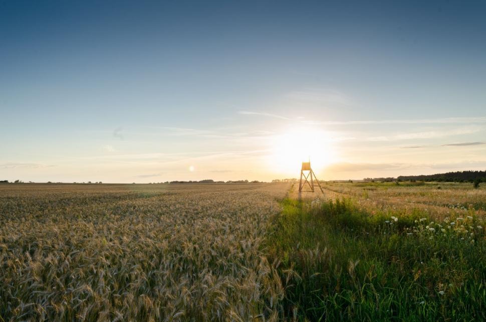 Free Image of Windmill Standing in Grass Field 