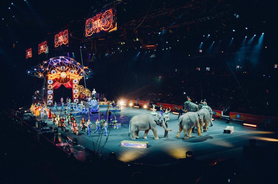 Free Image of Circus Scene With Elephants on Stage 