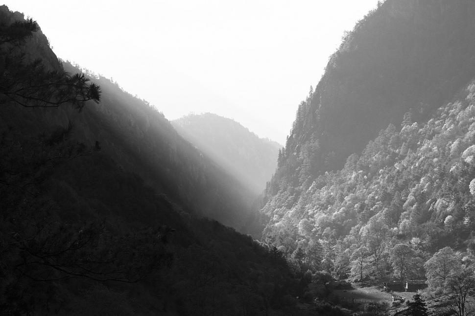 Free Image of Majestic Mountains and Trees in Black and White 