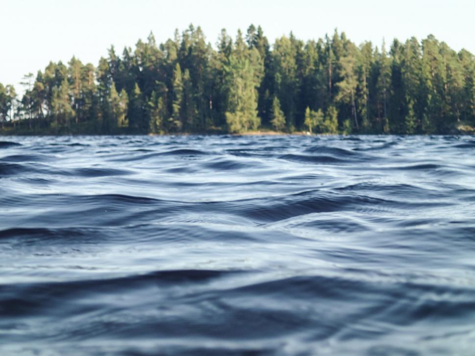 Free Image of Body of Water With Trees in the Background 