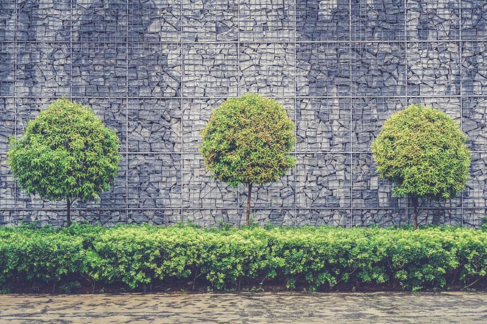 Free Image of Stone Wall With Row of Trees 