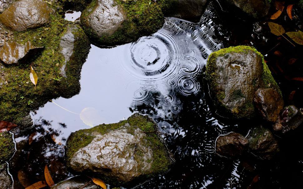 Free Image of Puddle of Water Surrounded by Rocks and Leaves 