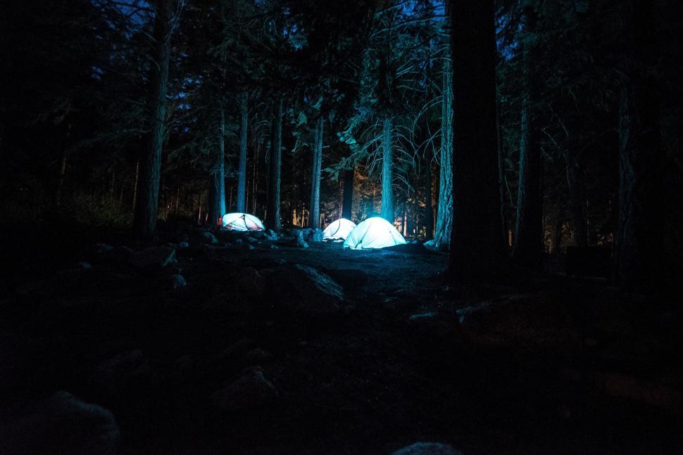 Free Image of Tents in the Forest Clearing 