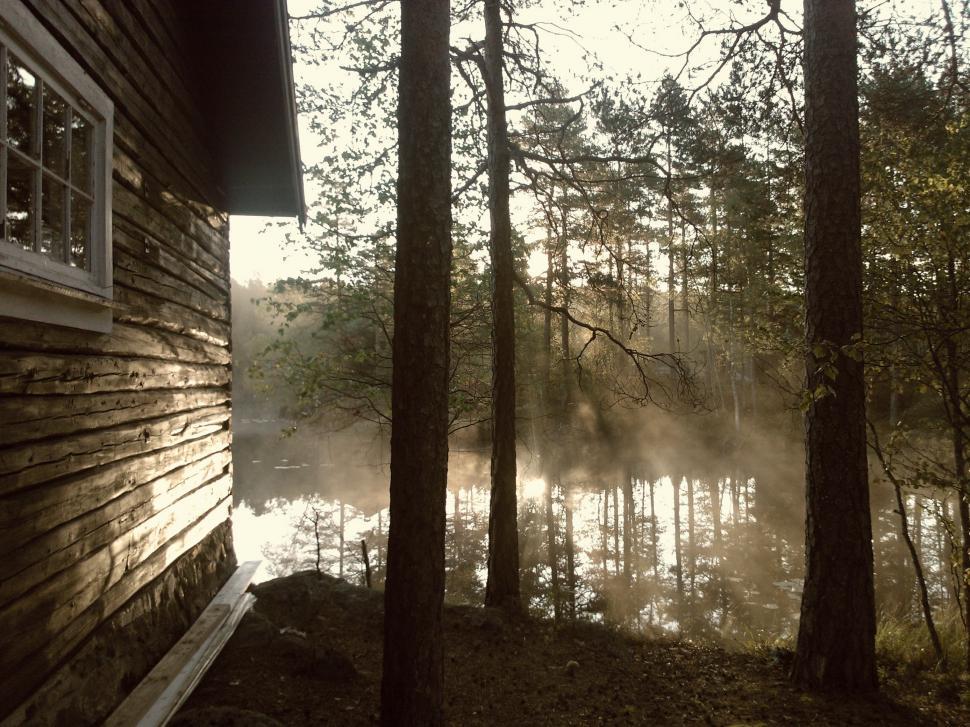 Free Image of Cabin Amidst Woods With a Lake View 
