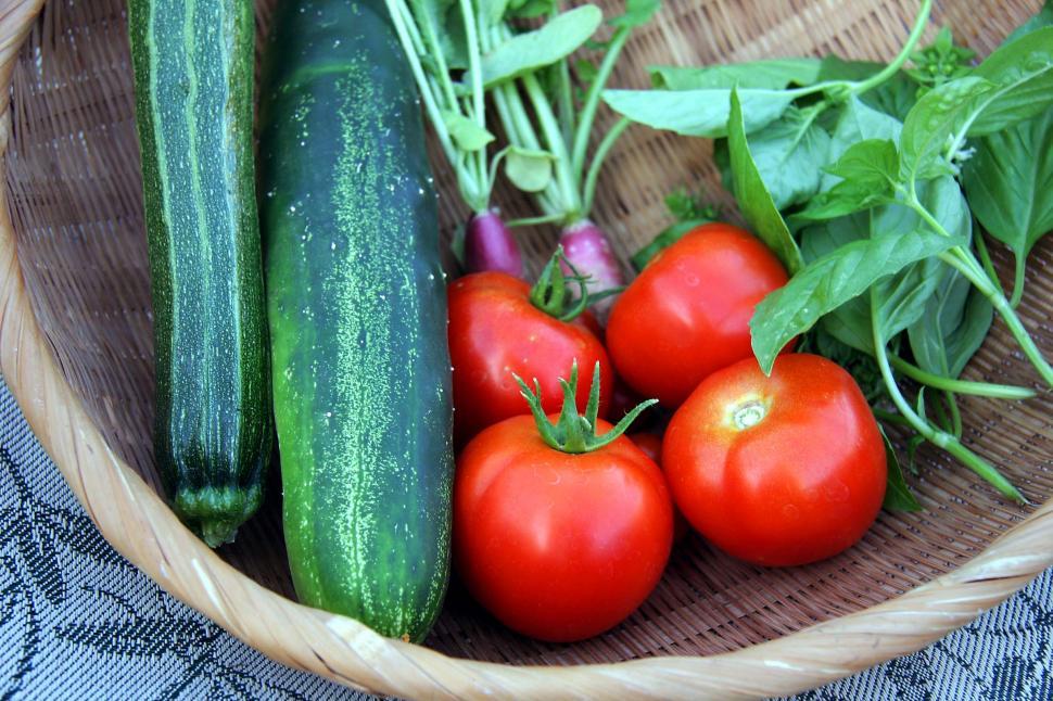 Free Image of Garden vegetables 