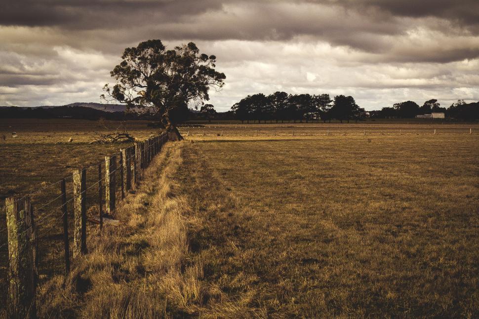 Free Image of Field With Fence and Tree in Distance 