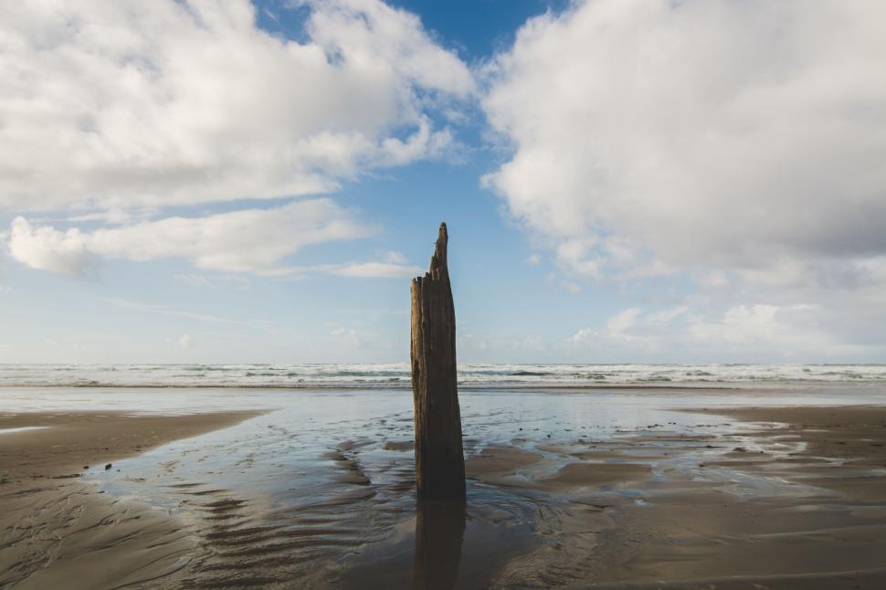 Free Image of Large Piece of Wood Sticking Out of Sand 
