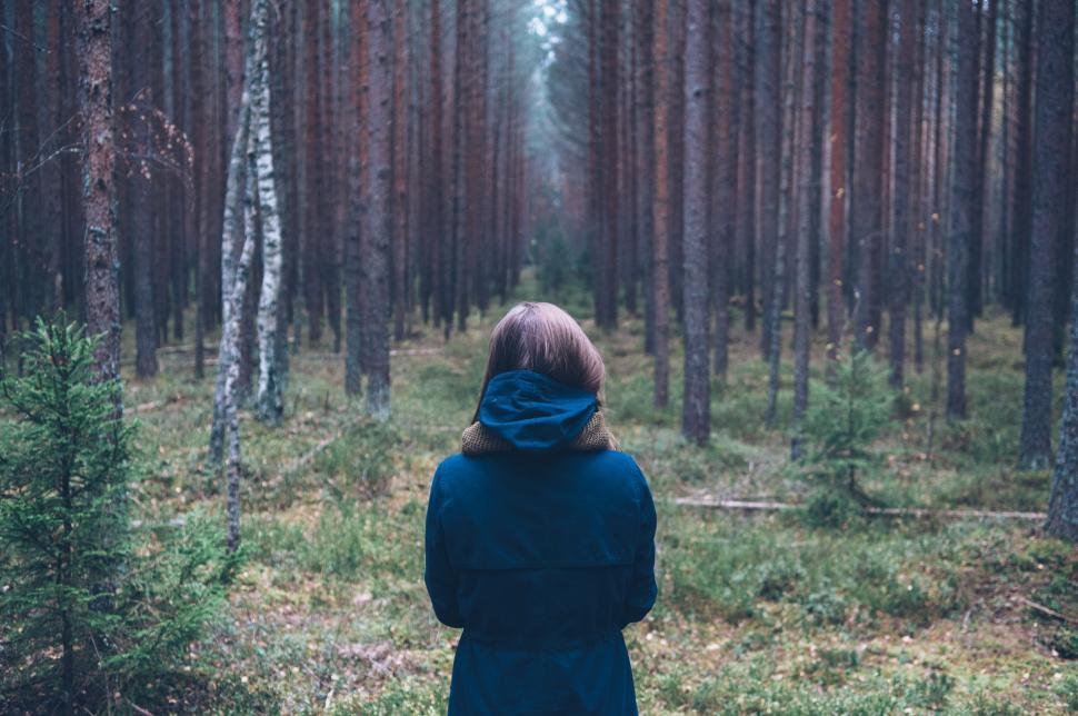 Free Image of Person in Blue Jacket Standing in Forest 