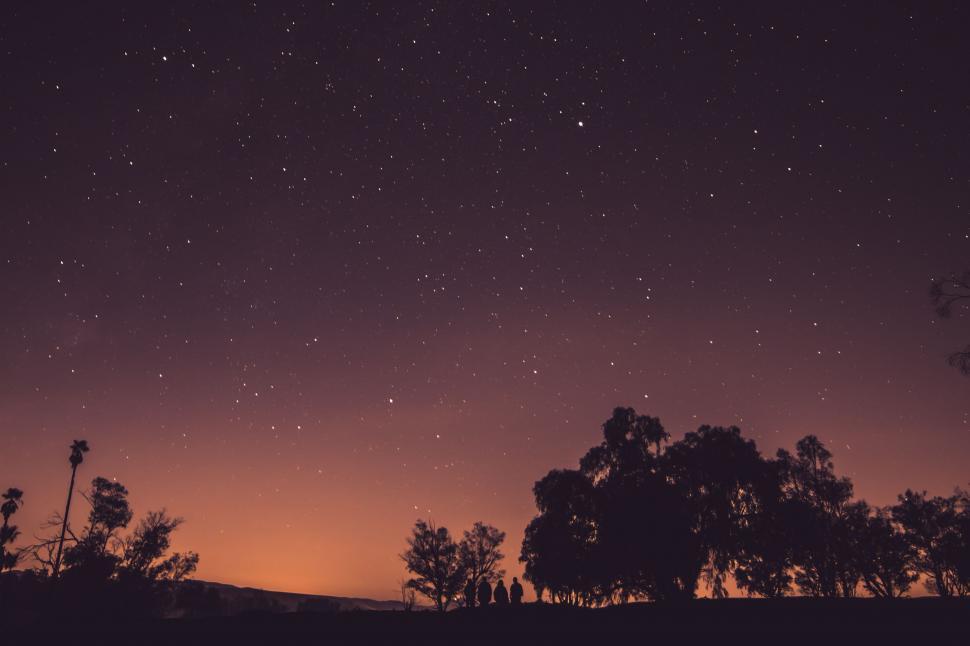 Free Image of Starry Night Sky With Trees Silhouetted 
