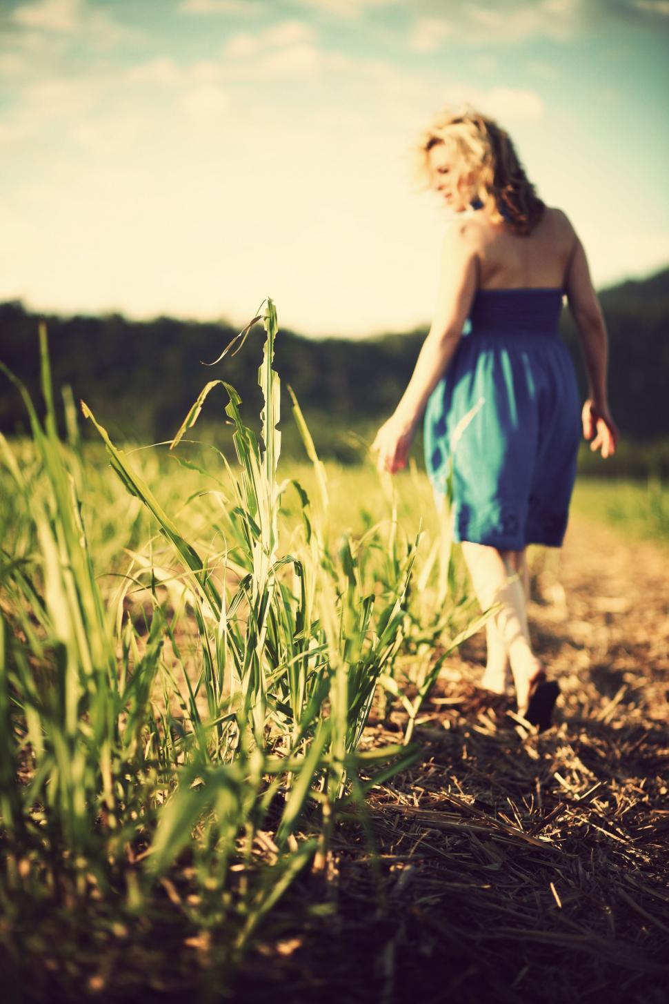 Free Image of Woman in Blue Dress Walking Through Field 