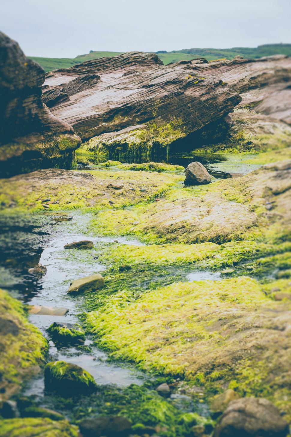 Free Image of A Stream of Water Running Through a Lush Green Field 