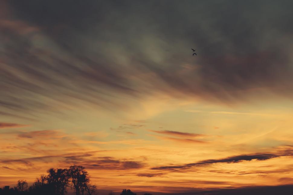 Free Image of Bird Flying in the Sky at Sunset 