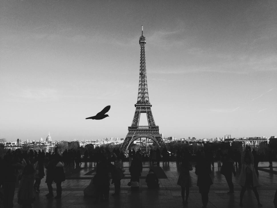 Free Image of Iconic Black and White View of the Eiffel Tower 