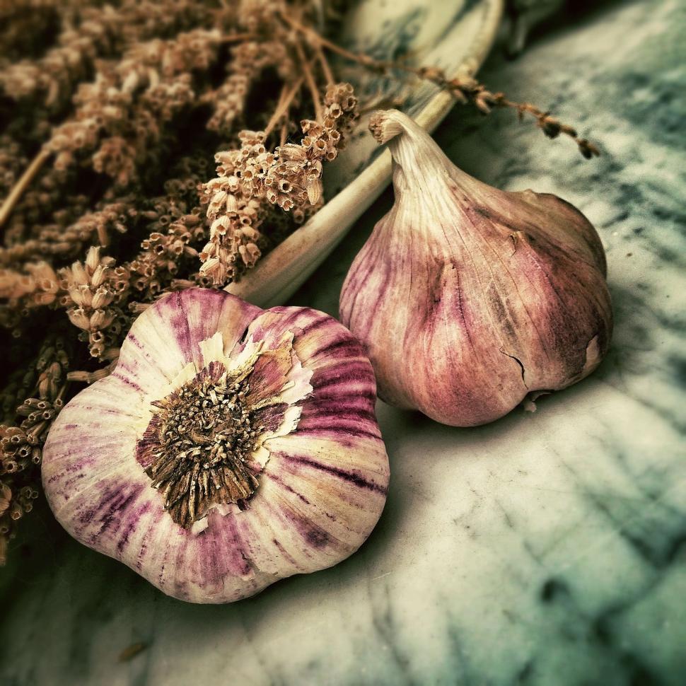 Free Image of Two Garlic Bulbs Resting on Table 