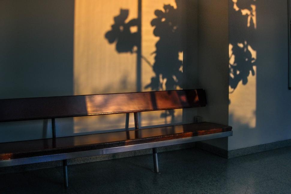 Free Image of Plant Shadow on Wall Next to Bench 