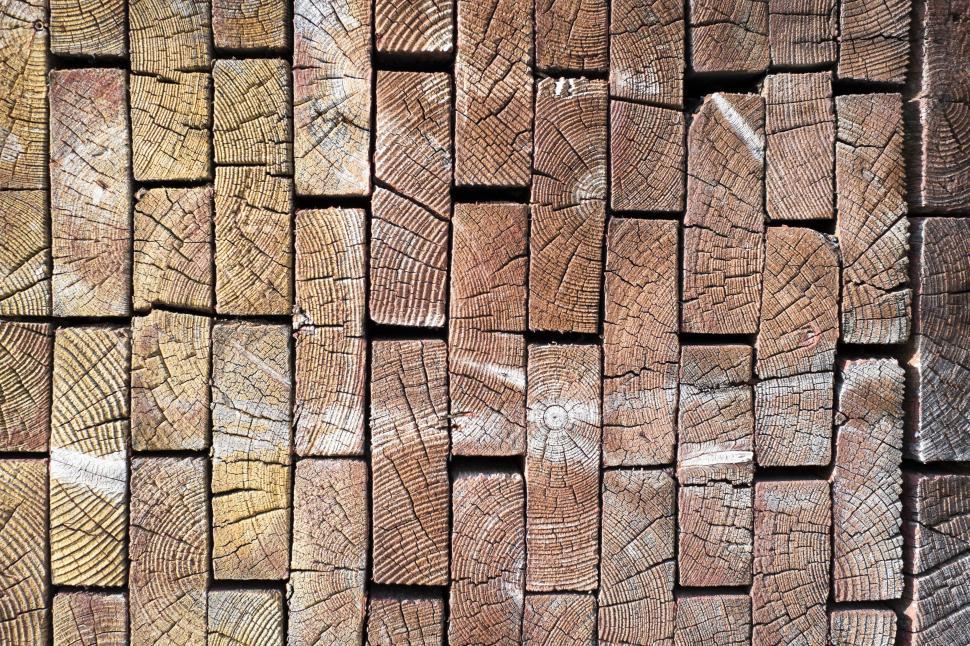 Free Image of Close Up of Wooden Wall Made of Logs 