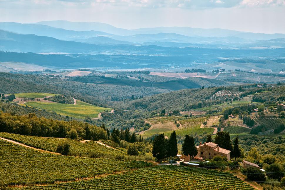 Free Image of Scenic Vineyard View in the Hills 