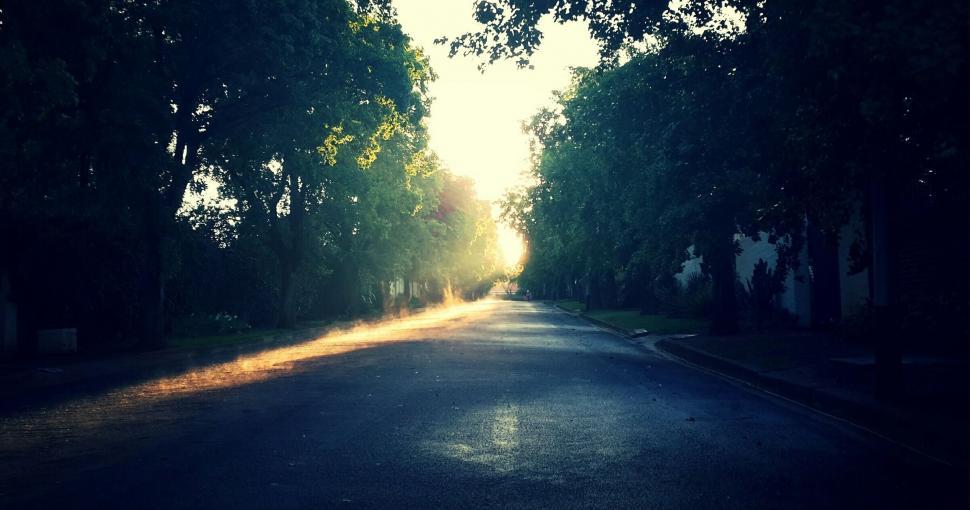 Free Image of Sun Shining Through Trees on Road 