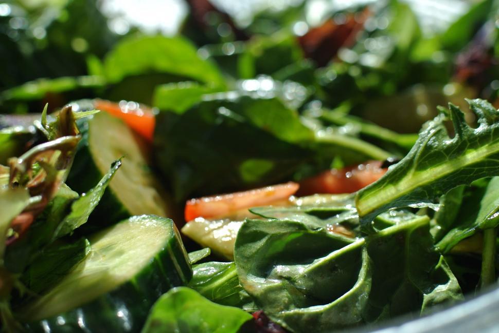 Free Image of Close Up of a Fresh Salad in a Bowl 