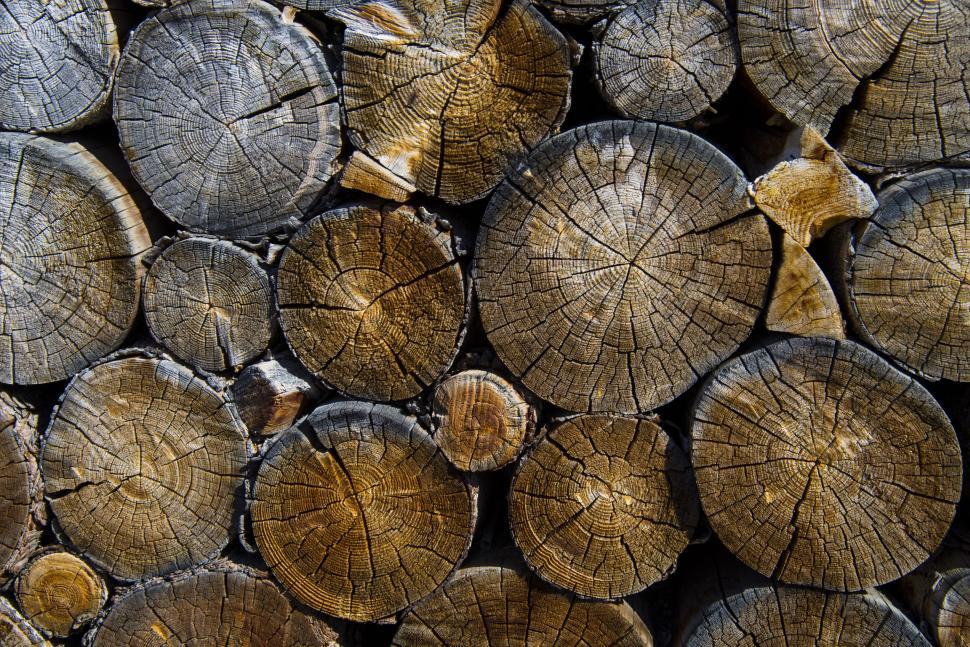 Free Image of Close Up of a Pile of Cut Logs 