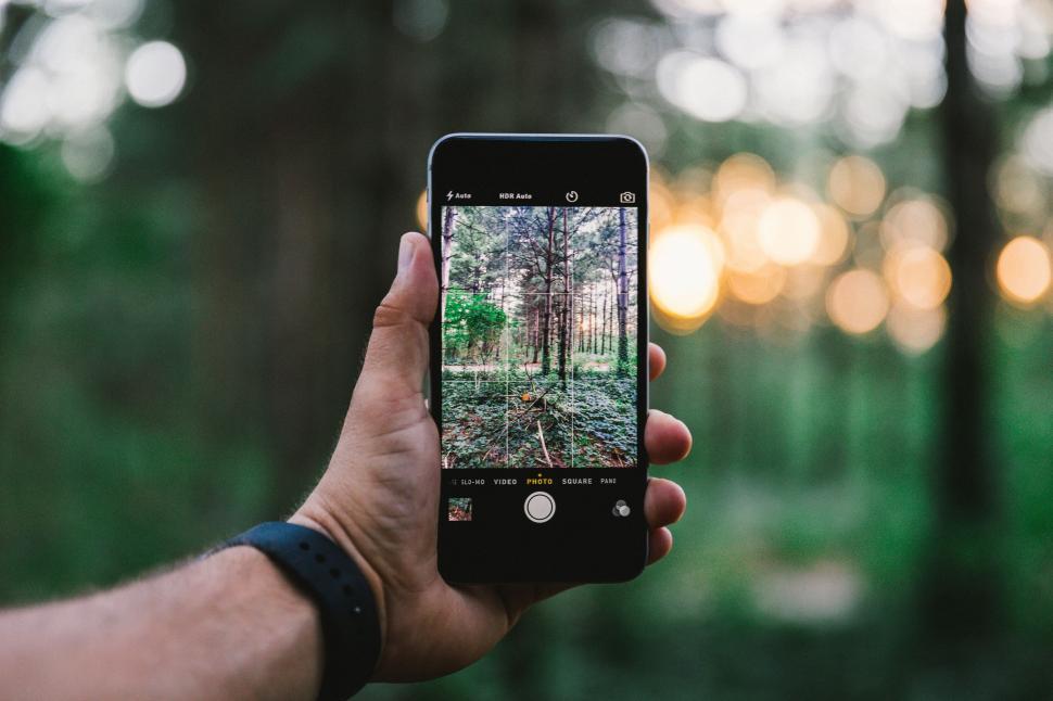 Free Image of Person Taking a Picture of a Forest 