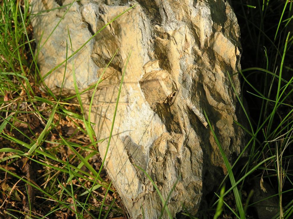 Free Image of Study of Rock 