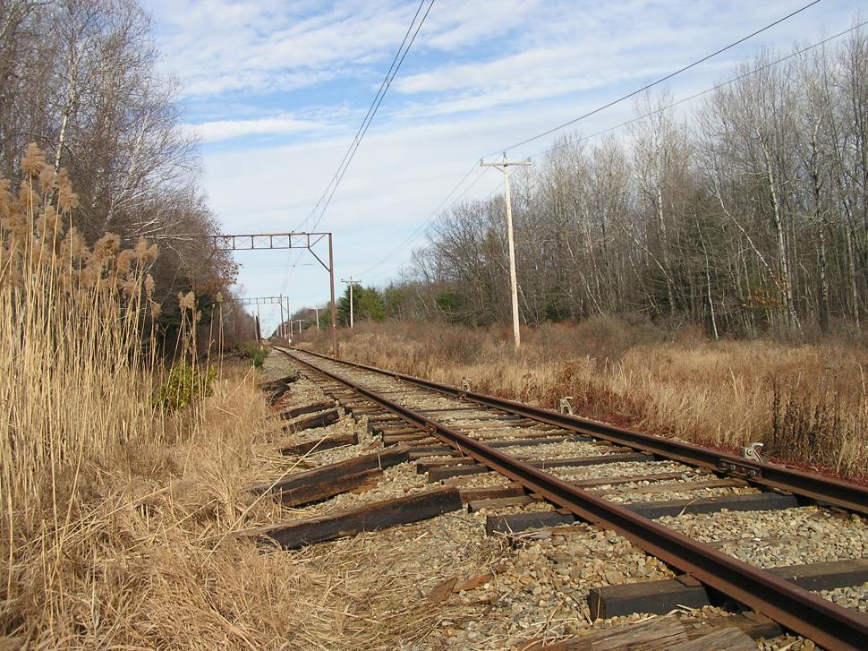 Free Image of Rails by the Reeds 