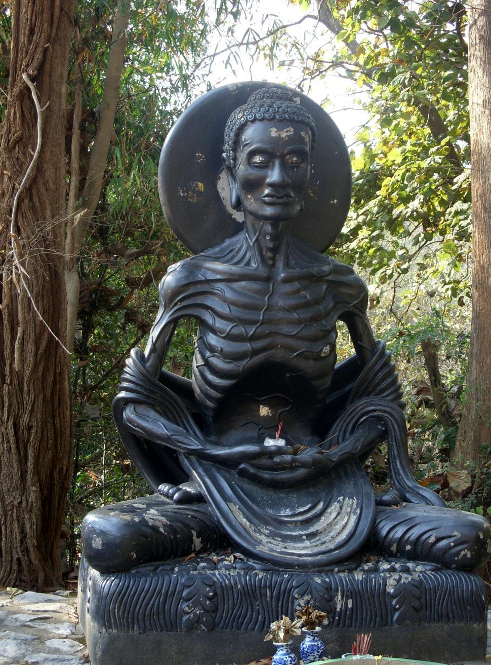 Free Image of Emaciated Buddha  