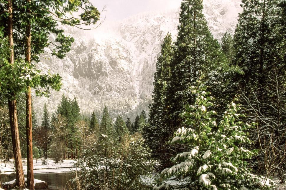 Free Image of Yosemite National Park 