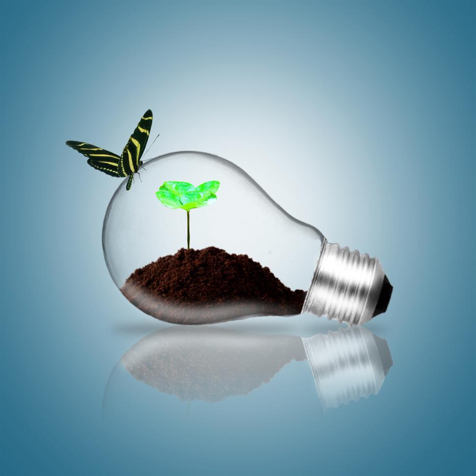 Free Image of Lightbulb with butterfly and plant sprout 