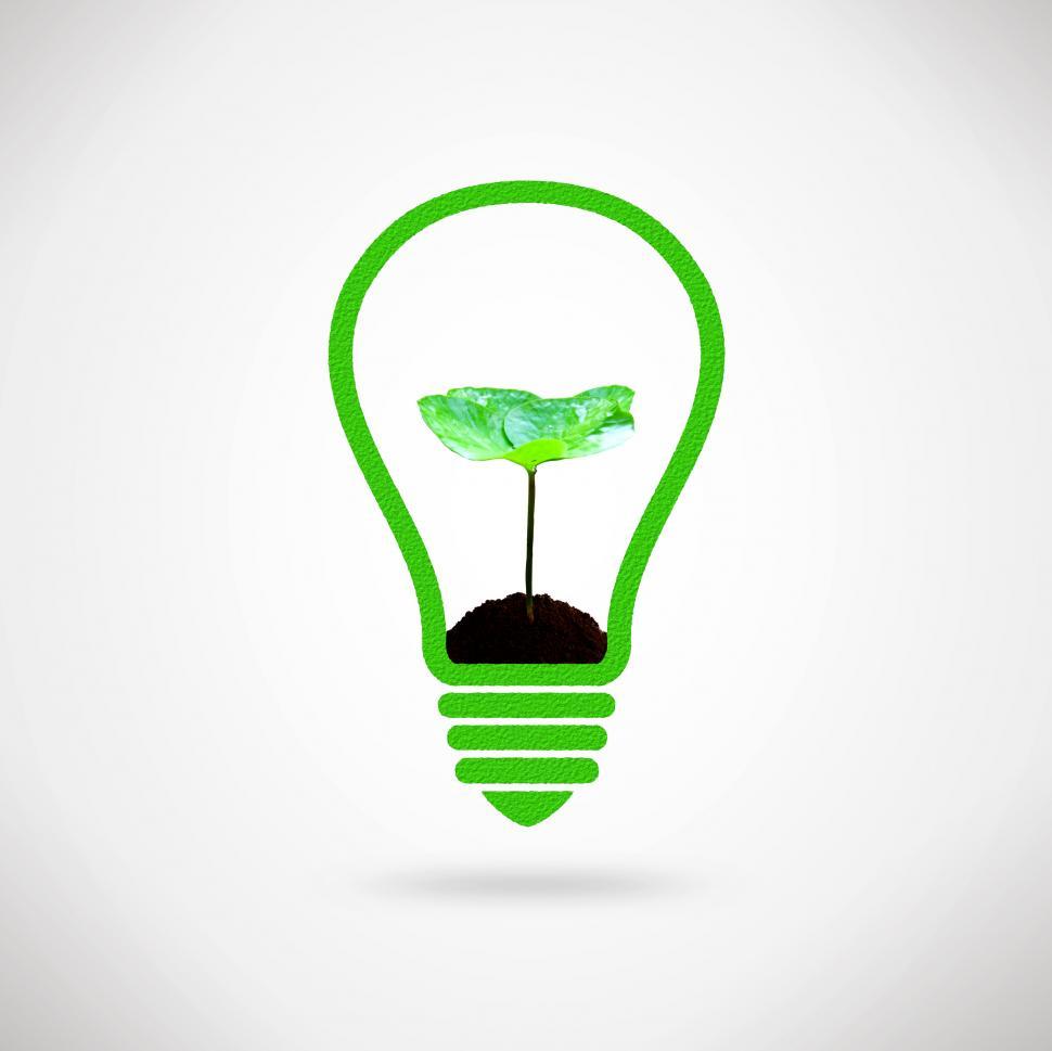 Download Free Stock Photo of Lightbulb and plant sprout 