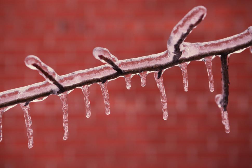 Free Image of Icicles Hanging From a Branch on a Red Wall 