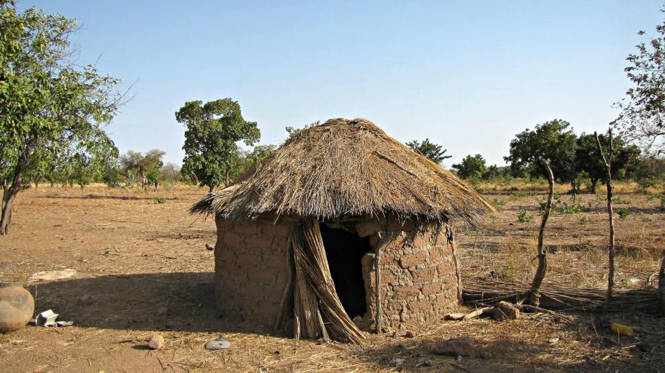 Free Image of Small Thatched Roof Hut in Field 