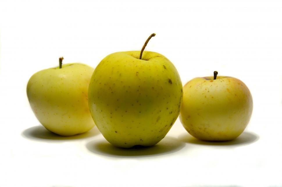 Download Free Stock Photo of Three Fruit  