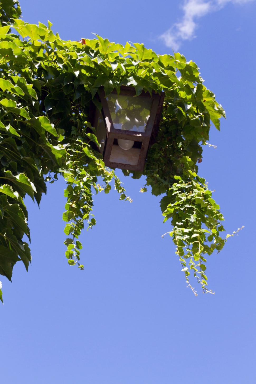 Free Image of Street lamp with blue sky 