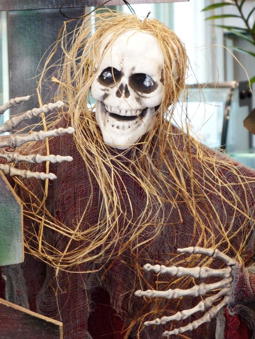 Free Image of Halloween Skeleton  