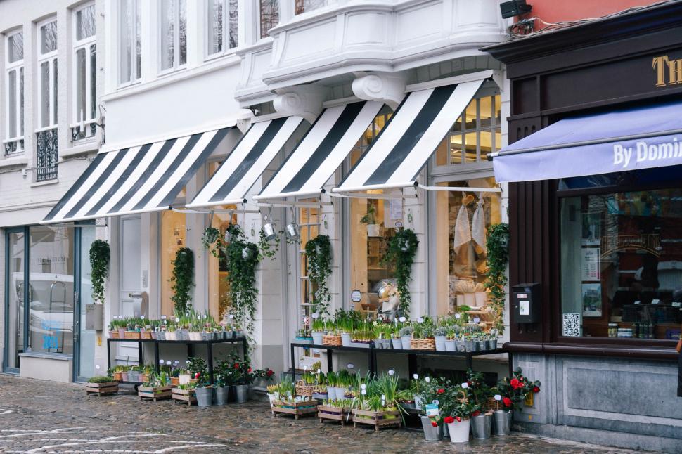Free Image of Row of Potted Plants Outside Store 