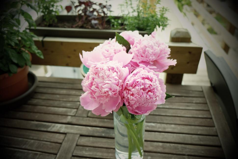 Free Image of Vase of Pink Flowers on Wooden Table 