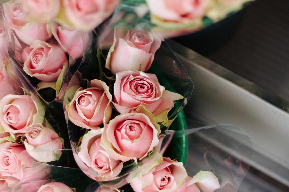 Free Image of Pink Roses Arranged on Table 