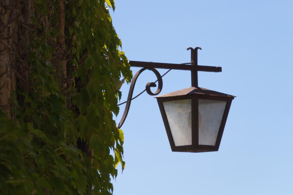 Free Image of Street Lamp and Vines 